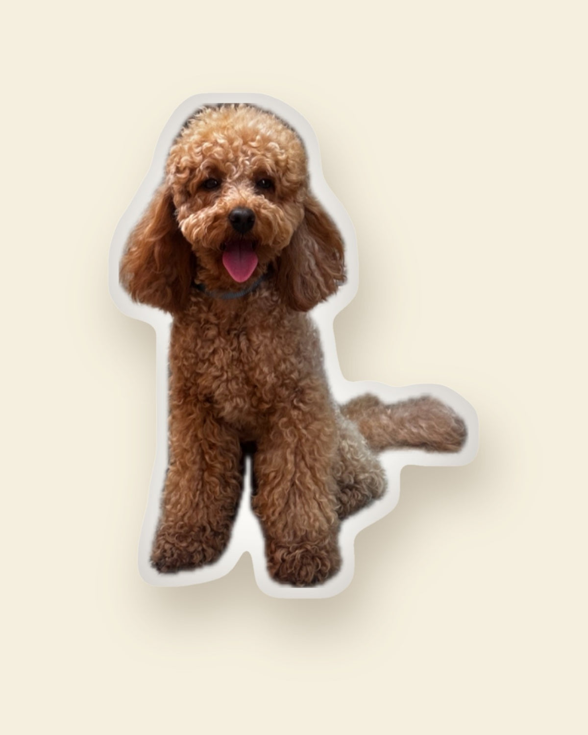 Illustration: Leo as a Mini Me Pillow: his cutout on a pillow sewn to his outline with a thin white border. Not a photo of a finished pillow.